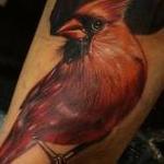 Tattoos - realistic color cardinal with holly tattoo. Brent Olson Art Junkies Tattoo  - 102114