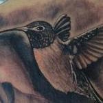 Tattoos - Realistic black and gray rose with hummingbird tattoo, Scott Grosjean Art Junkies Tattoo - 101362