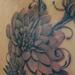 Tattoos - black and grey realistic flower, Tim McEvoy Art Junkies Tattoo - 76188