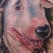 Tattoos - Color portrait of a bull terrier - 89346