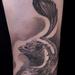 Tattoos - Black and grey portrait of a quail  - 93423