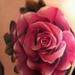 tattoo galleries/ - Realistic color rose Brent Olson Art Junkies Tattoo - 60738
