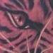 tattoo galleries/ - Black and Grey realistic tiger tattoo - 62075