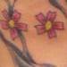 tattoo galleries/ - Cherry blossom color traditional tattoo - 62078