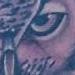 tattoo galleries/ - Black and Grey portrait of owl tattoo - 62076