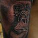 realistic black and gray portrait of gorilla tattoo, Scott Grosjean Art Junkies Tattoo Tattoo Design Thumbnail