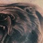 Tattoos - Black and gray realistic bear cover up tattoo, Mike Riedl Art Junkies Tattoo  - 100789