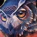 Tattoos - Owl traditional color hand tattoo Brent Olson Art Junkies Tattoo - 62085