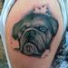 Tattoos - Dog Portrait - 79766