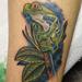 Tattoos - Tree Frog - 79786