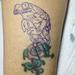 Tattoos - Tree Frog Before - 79787