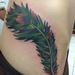 Tattoos - feather - 75434