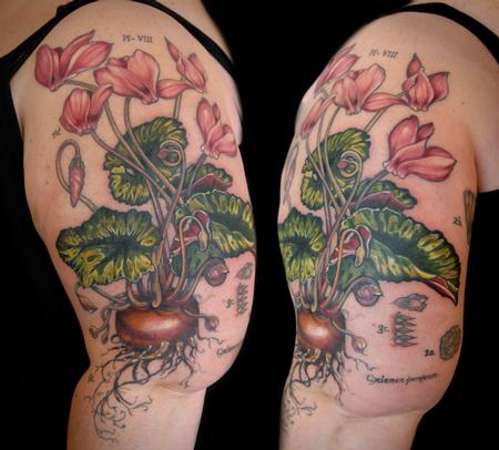 Aubrey Mennella - cyclamen flower tattoo vintage botanical