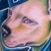 Color Dog Portrait Tattoo Tattoo Design Thumbnail