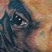 tattoo galleries/ - Cali Love - 62021