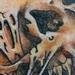Tattoos - EXPLOITED  - 62022