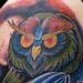 Color Owl Tattoo Tattoo Design Thumbnail