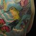 tattoo galleries/ - Humming Bird Tattoo - 64565