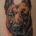 tattoo galleries/ - Color Dog Portrait Tattoo - 64566