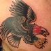 tattoo galleries/ - Traditional-Style Eagle Tattoo - 64567