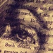Art Galleries - Scarey - 72733