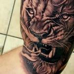 Tattoos - Lion tattoo portrait - 128188