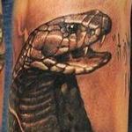 Tattoos - Cobra Snake tattoo - 108176