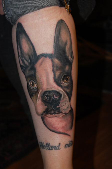 Dillon Forte - Dog portrait