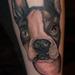 Tattoos - Dog portrait - 55934