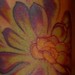 tattoo galleries/ - Succulent  Plant 