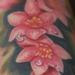 tattoo galleries/ - Flower power