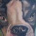 Tattoos - Dog Portrait - 56509