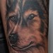 tattoo galleries/ - Dog Portrait