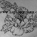 Om Peony Original Art Design Thumbnail
