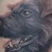 Dog portrait tattoo Tattoo Thumbnail