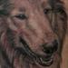 Dog Tattoo Tattoo Thumbnail
