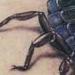 tattoo galleries/ - Realistic Scorpion tattoo
