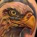 Tattoos - Eagle - 74135