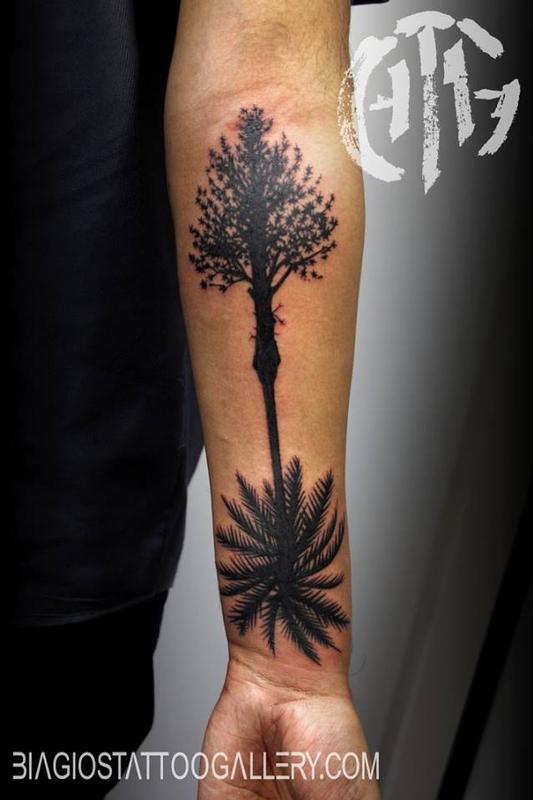 Rob Talo -