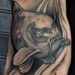 Tattoos - Evil koi - 50917