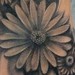 Tattoos - Flower foot - 50929