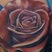 Tattoos - razor and rose - 50937