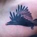 birds on chest Tattoo Thumbnail
