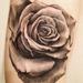tattoos/ - Rose - 63377
