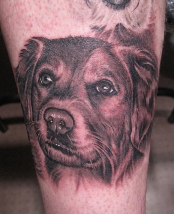 Tattoos Of Dogs. portrait tattoos. Dog portrait