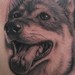 Tattoos -  - 39213