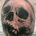Tattoos -  - 40168