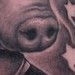 Tattoos - Pig-head - 45849