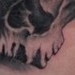 Tattoos - Skull-collaboration - 45674