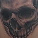 Tattoos -  - 39964